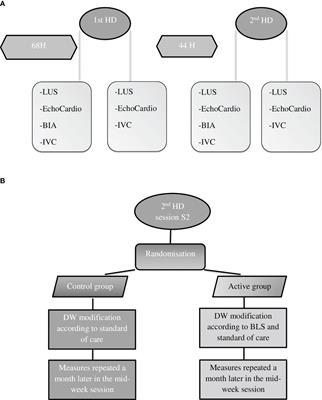 Pulmonary congestion and systemic congestion in hemodialysis: dynamics and correlations